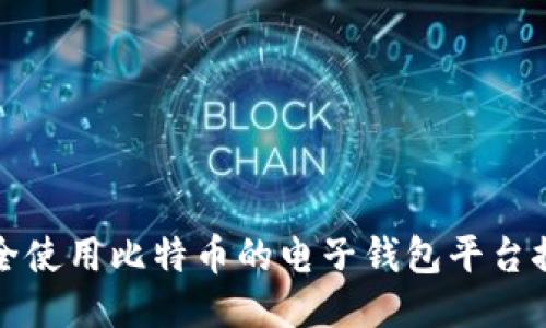 安全使用比特币的电子钱包平台推荐