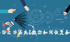 狗狗币钱包备份文件丢失？教你如何恢复和保护