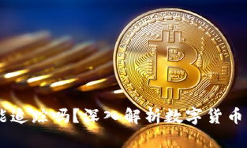 USDT钱包地址能追踪吗？深入解析数字货币的隐私与安全性