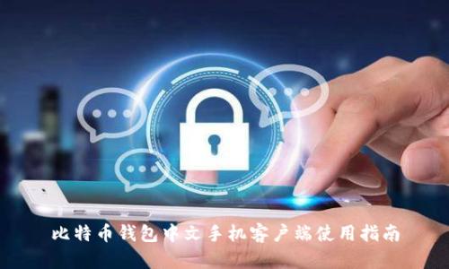 比特币钱包中文手机客户端使用指南