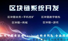 如何下载并使用Exodus比特币钱包：全面指南