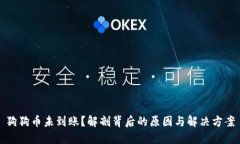 狗狗币未到账？解剖背后的原因与解决方案