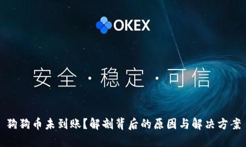 狗狗币未到账？解剖背后的原因与解决方案