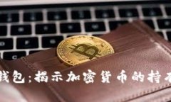 比特币是谁的钱包：揭示加密货币的持有者与背