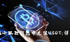 如何在小狐狸钱包中充值USDT：详细指南