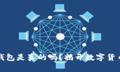 今天比特币钱包是真的吗？揭开数字货币背后的