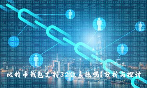 比特币钱包支持32位系统吗？分析与探讨