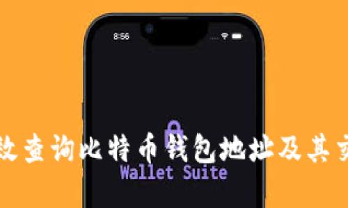 如何有效查询比特币钱包地址及其交易记录