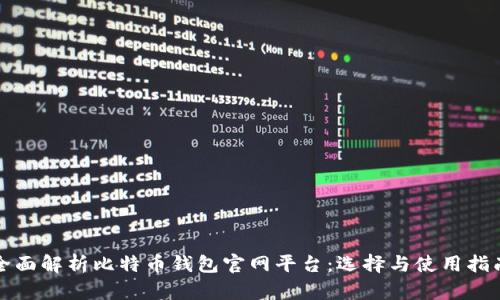 全面解析比特币钱包官网平台：选择与使用指南