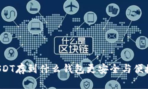 USDT存到什么钱包更安全与便捷？