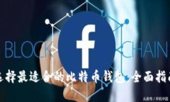 选择最适合的比特币钱包：全面指南