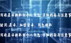 如何将屎币提取到个人钱包：详细指南与注意事