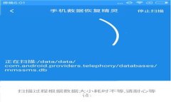 USDT钱包全解析：多种选择，安全与便利并存