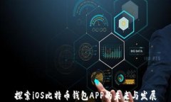 探索iOS比特币钱包APP的未来与发展