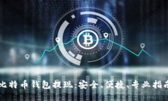 比特币钱包提现：安全、便捷、专业指南