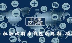 全面解析手机版比特币钱包的选择、功能与安全