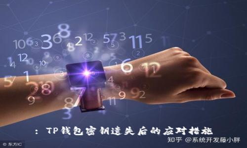 : TP钱包密钥遗失后的应对措施