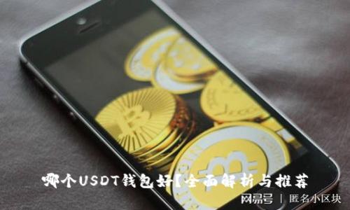哪个USDT钱包好？全面解析与推荐