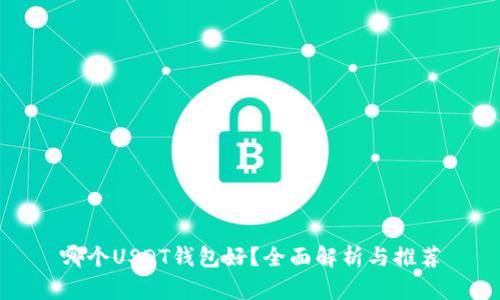 哪个USDT钱包好？全面解析与推荐