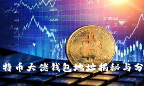 比特币大佬钱包地址揭秘与分析
