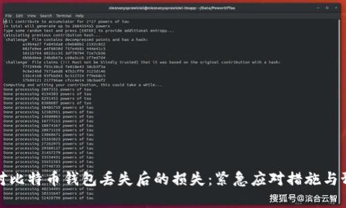 如何应对比特币钱包丢失后的损失：紧急应对措施与预防策略