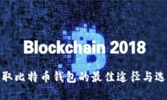 获取比特币钱包的最佳途径与选择