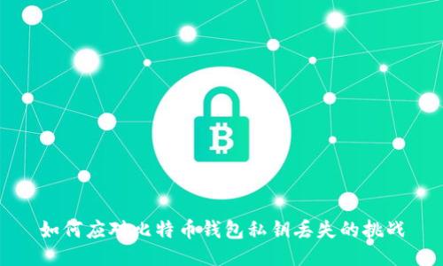 如何应对比特币钱包私钥丢失的挑战