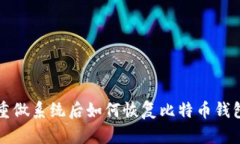 重做系统后如何恢复比特币钱包