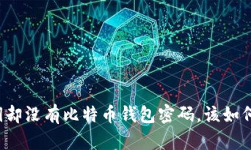 有私钥却没有比特币钱包密码，该如何处理？