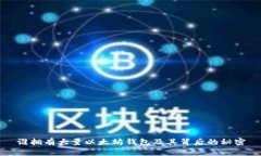 谁拥有大量以太坊钱包及其背后的秘密