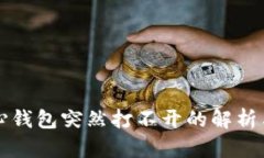 比特币核心钱包突然打不开的解析与解决方案