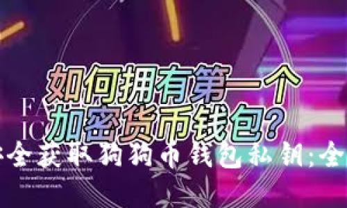 如何安全获取狗狗币钱包私钥：全面指南