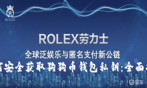 如何安全获取狗狗币钱包私钥：全面指南