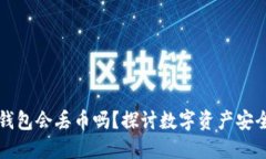 比特派钱包会丢币吗？探讨数字资产安全与管理