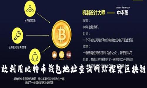 如何有效利用比特币钱包地址查询网站探究区块链的奥秘