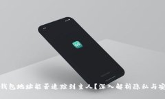 TP钱包地址能否追踪到主人？深入解析隐私与安全