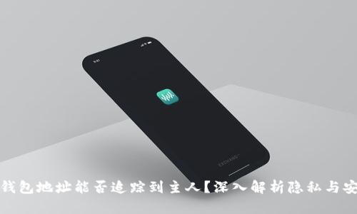 TP钱包地址能否追踪到主人？深入解析隐私与安全