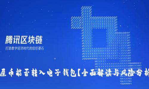屎币能否转入电子钱包？全面解读与风险分析
