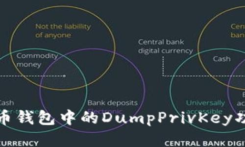 深入探讨比特币钱包中的DumpPrivKey功能及其安全性
