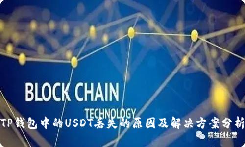 TP钱包中的USDT丢失的原因及解决方案分析
