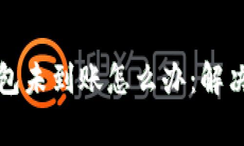 抹茶提币到TP钱包未到账怎么办：解决方案与注意事项
