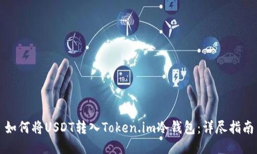 如何将USDT转入Token.im冷钱包：详尽指南