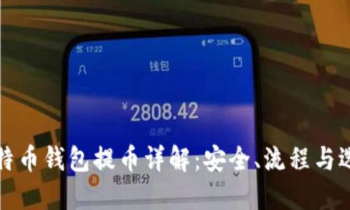 比特币钱包提币详解：安全、流程与选择