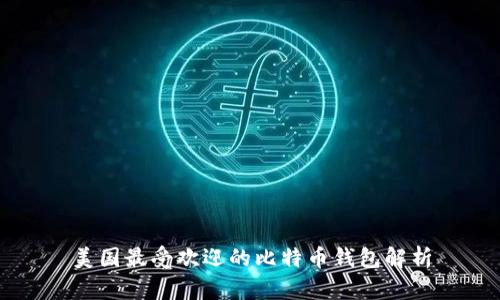 美国最受欢迎的比特币钱包解析