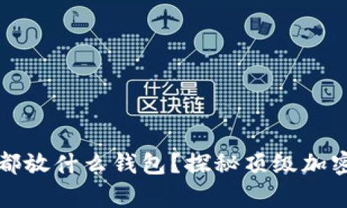大佬们比特币都放什么钱包？探秘顶级加密货币存储方案