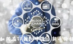   如何在TP钱包中显示新币价格