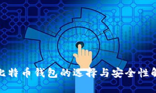 : 比特币钱包的选择与安全性解析