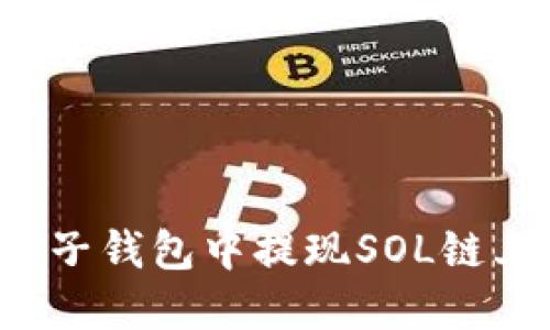 如何在麦子钱包中提现SOL链上的USDC
