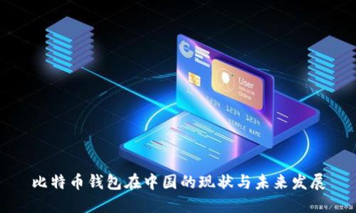 比特币钱包在中国的现状与未来发展