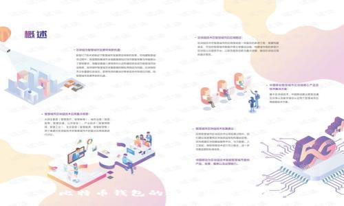 比特币钱包的选择与使用指南